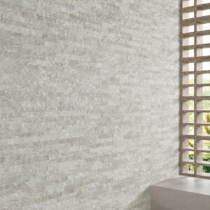 SALT STONE ASH 60x120