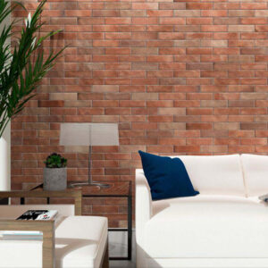 BENISA COTTO 6,2x23,5