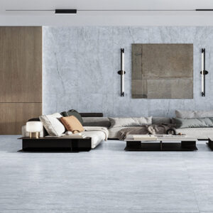 NAICA GRIS 60x120