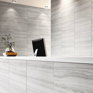 SILVER GREY DC 60x120