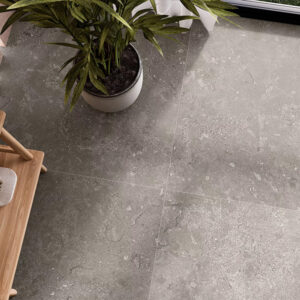 ETNA GRIS 60x120