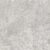 PLUS 60x60 - PLUS ROOTLATE PEARL