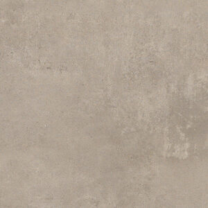 2-dust-tortora-1.jpg
