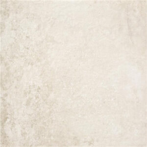2-aster-cream-1.jpg
