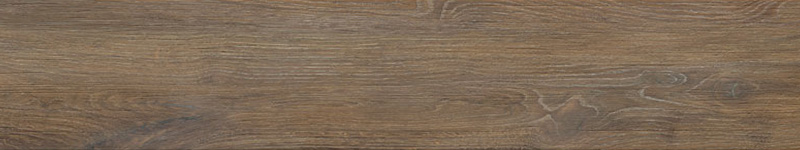 2-trunk-nut.jpg