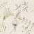 LEA 20x60 - LEA DEC FLOR CREAM