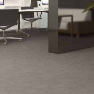 HALLEY ARGENT 60x120