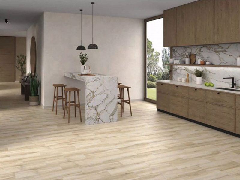 1-carpenter-ash-1.jpg