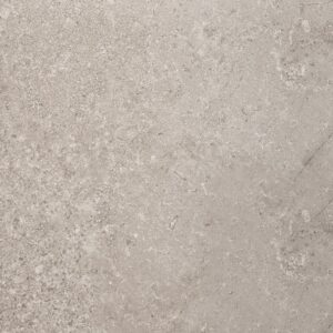 2-roots-beige.jpg