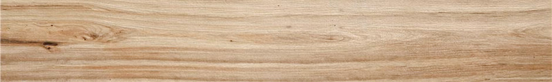 2-sauco-almond-1.jpg