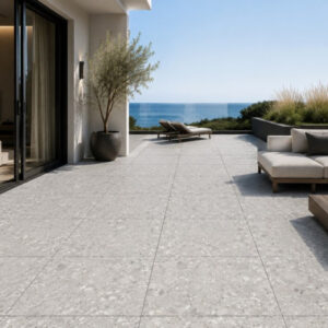 CLEMON 20 SILVER 90x90