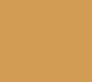 PC NAICA CREMA 60x120 PC NAICA CREMA 60x120