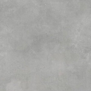 2-indira-grey.jpg
