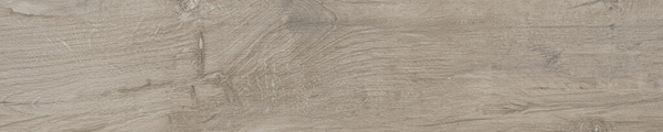 2-kelaya-maple.jpg