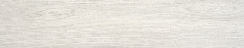 2-sauco-blanc-2.jpg