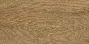 4-olivo-miel-60-120.jpg