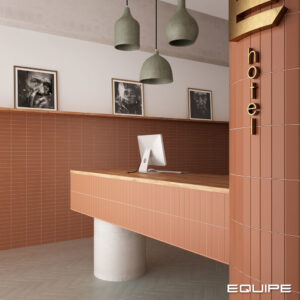 Costa-Nova-5x20-TERRA-MATT-1024x1024-ECOSN.jpg