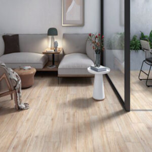 PC CONCORDE HAYA 30x60