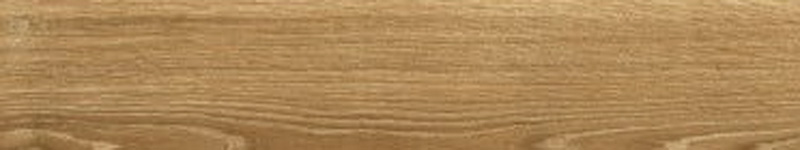 2-gastor-roble-23-120.jpg