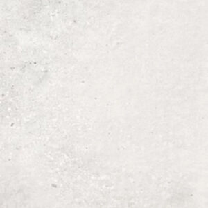 2-aster-white-30-60.jpg