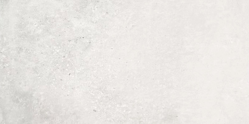 2-aster-white-30-60.jpg