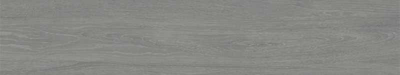 2-sakura-canus-23-120.jpg