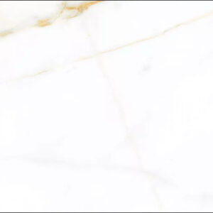 2-stacal-sat-60-120.jpg