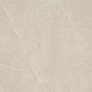 2-paiva-bone-60-120.jpg